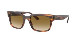 Ray-Ban 2190 954 51