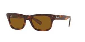 Ray-Ban 2283 954 33