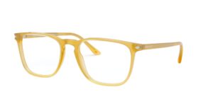 Giorgio Armani 7193 5027