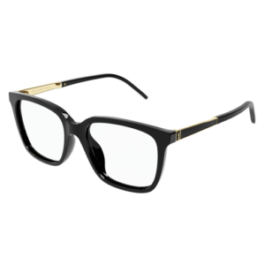 Saint Laurent M102 002