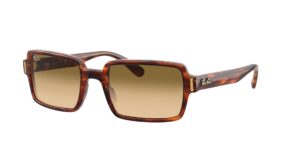 Ray-Ban 2189 954 51