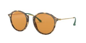 Ray-Ban 2447 1244N9