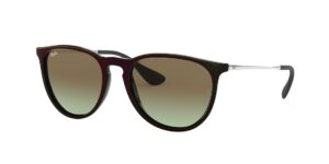 Ray-Ban 4171 6316E8