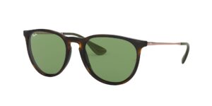 Ray-Ban 4171 6393 2