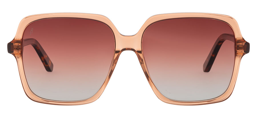 Bergman B362 1 - obrazek 2