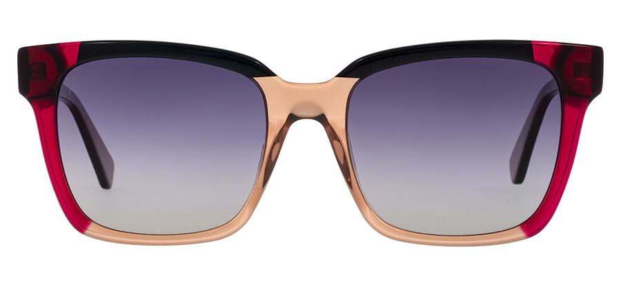 Bergman B465 1 - obrazek 2