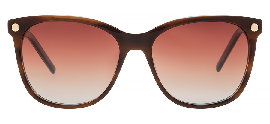 Bergman B171 2 - obrazek 2