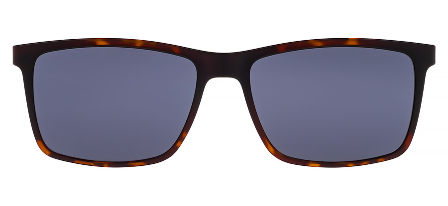 Bergman BC443 6 - obrazek 6